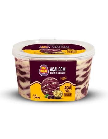 Sorvete de Açai com Trufa de Cupuaçu  - Mr Mix Sorvetes